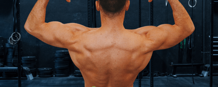 growing-muscle-top-10-indirect-tips-bodyreach